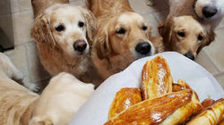 418130539_1159038505254310_8532011305464989158_n