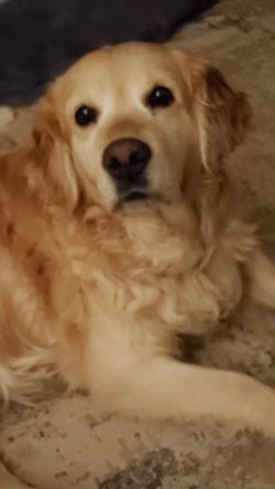 436723691_369582246115916_964292061717932059_n