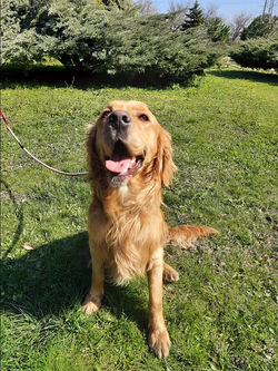 158879128_538988174150407_51784271825979