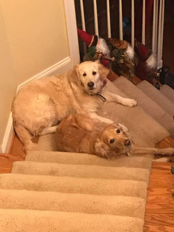 131117762_208582697405889_21520300764602