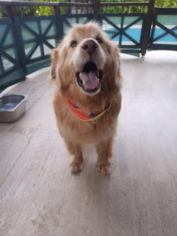 received_325988585799324