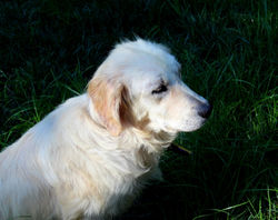 thumbnail_Princess11