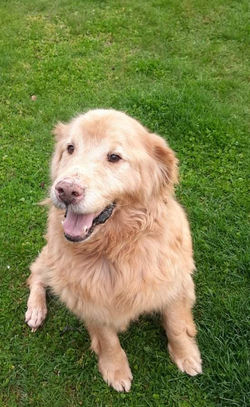 received_1174912759688207