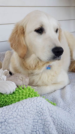 333042146_1532608380567764_2194792546118155891_n