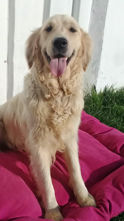 21100245_1267083783438141_1145522930_n