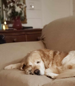 418736859_942302720440603_1497498899154232028_n