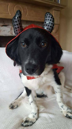 23315865_10213885042056190_667517605_n