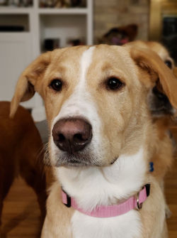 122779271_1271167209915798_1772602505015