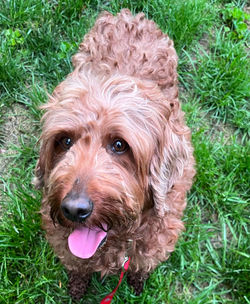 345684422_215541451233365_6411150919936076655_n