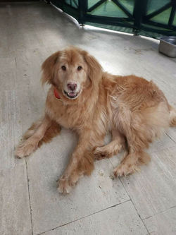 received_160219072756486