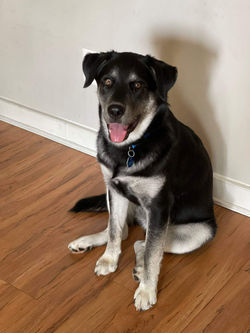 received_5117114504972195