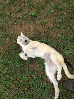 37916842_1837330196328556_79280105961658