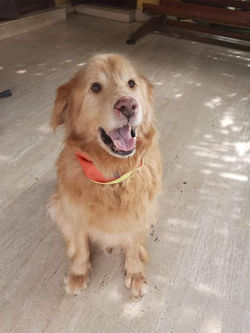 received_507222674030784