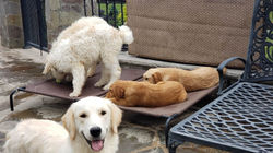 349207541_1352398968962290_6434093108034251219_n