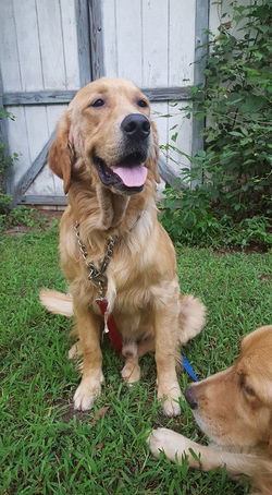 20815016_10213195702703137_2023819414_n