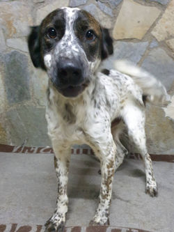 7337267_2732058126847135_85493023030042