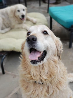 237333040_376793337131386_901927403280847706_n