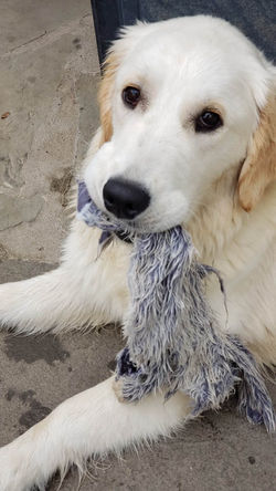 348385615_929198541530433_8744585785287204616_n