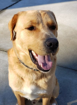 139547117_416222916126666_52235153928336