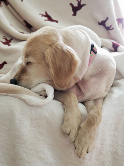 129515053_2679372812393549_7674858295884