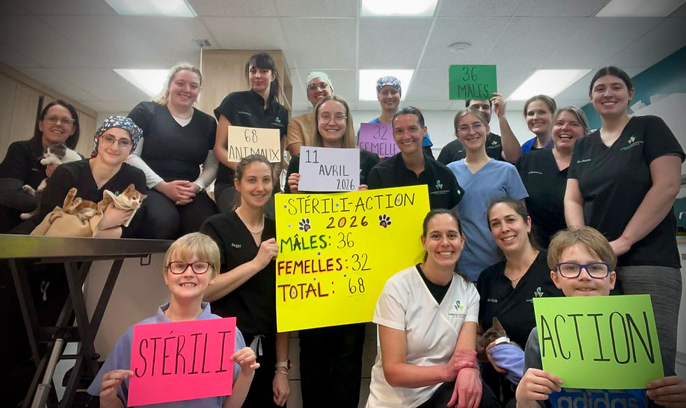 Journée de Stérili-Action - 4e édition:  un événement annuel fort attendu!