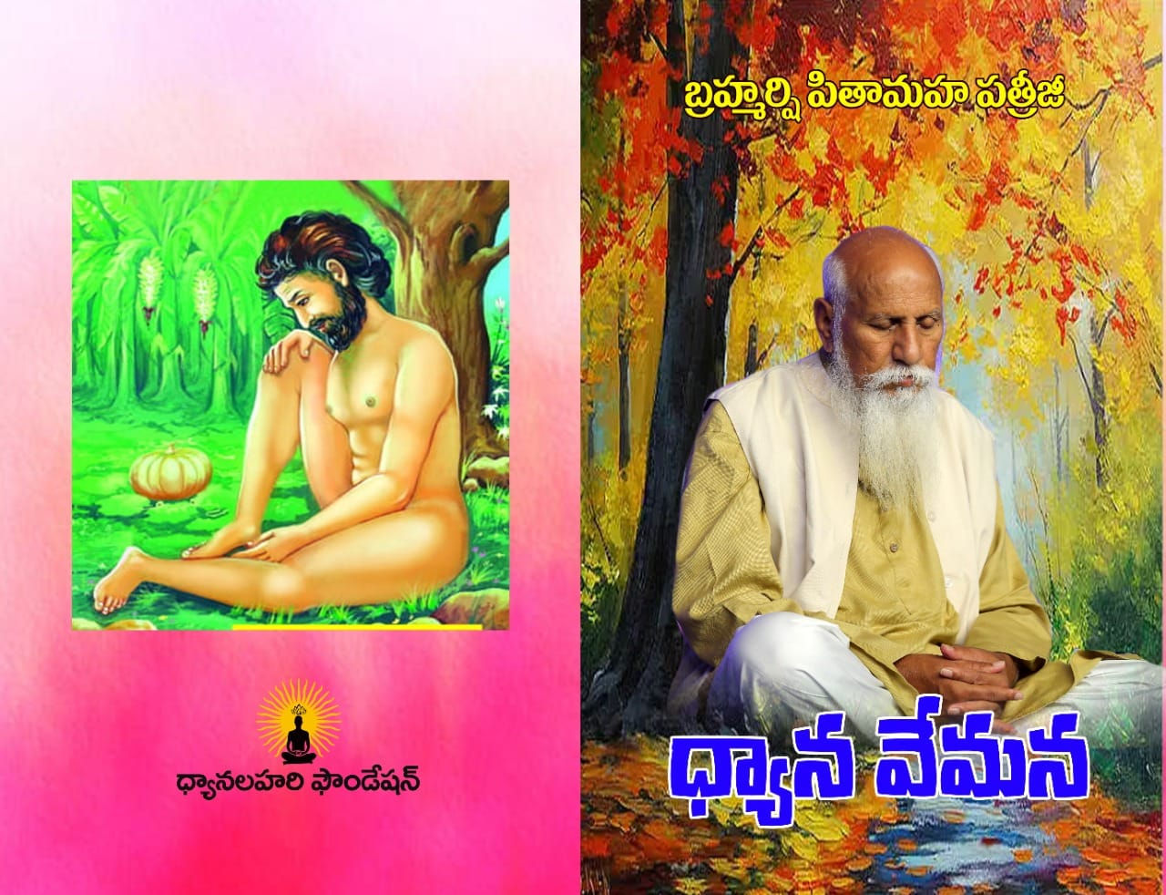 Dhyana Vemana by Brahmarshi Patriji