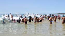 20615570_1613197645396272_2831682485555228420_o