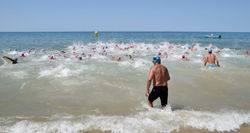 20423848_1608252332557470_8976016299737464966_o