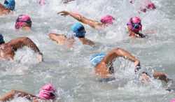 20424117_1608252459224124_7278718924744049465_o