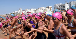 20448919_1608251959224174_2086472475915137443_o