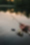 iStock-1400774999.jpg