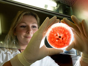 5 reasons to invest in great research photography