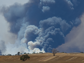 Nations combine to share bushfire resources 