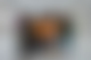 國內可持續發展項目研討會