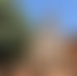 B E L F O R T E D E L C H I E N T I