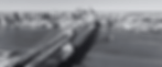 Copy of Bordered Sunflower Photo Web Banner (3).gif