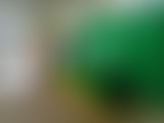 Pengadaan Keranda RW025