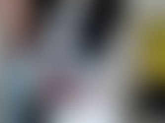 Does your dog have Instincts?