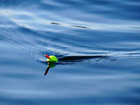 The bait-and-switch trap in cloud software renewals