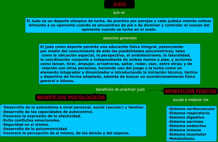 que es el judo y sus aspectos generales