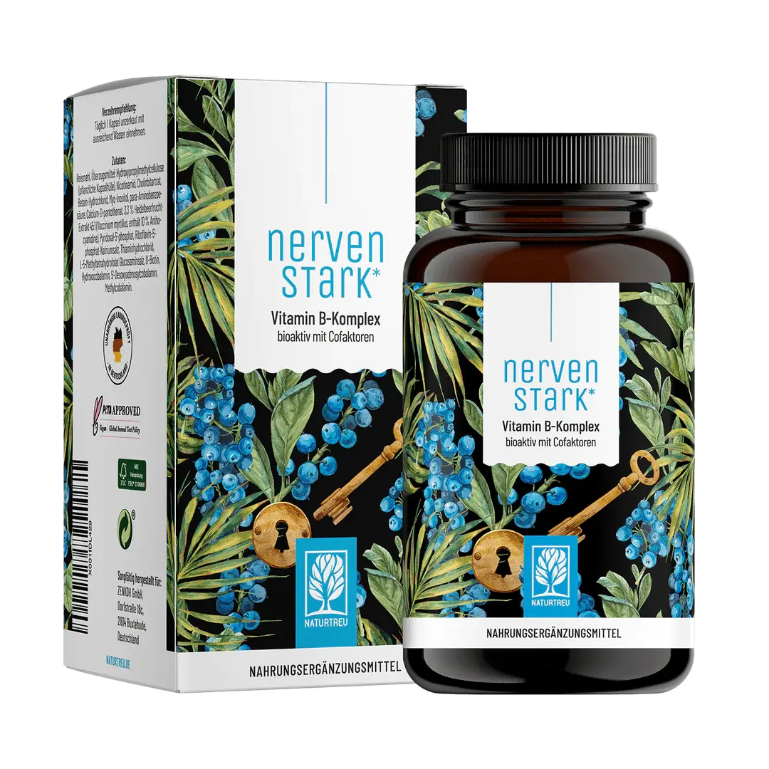 🇩🇪 NATURTREU 維生素B群複合高劑量膠囊 (120粒)