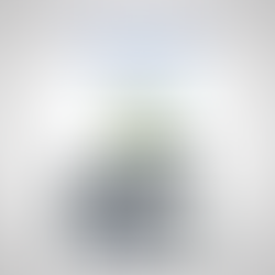 filtros de agua Rainsoft