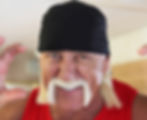 Hulk Hogan