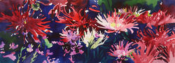 Asters