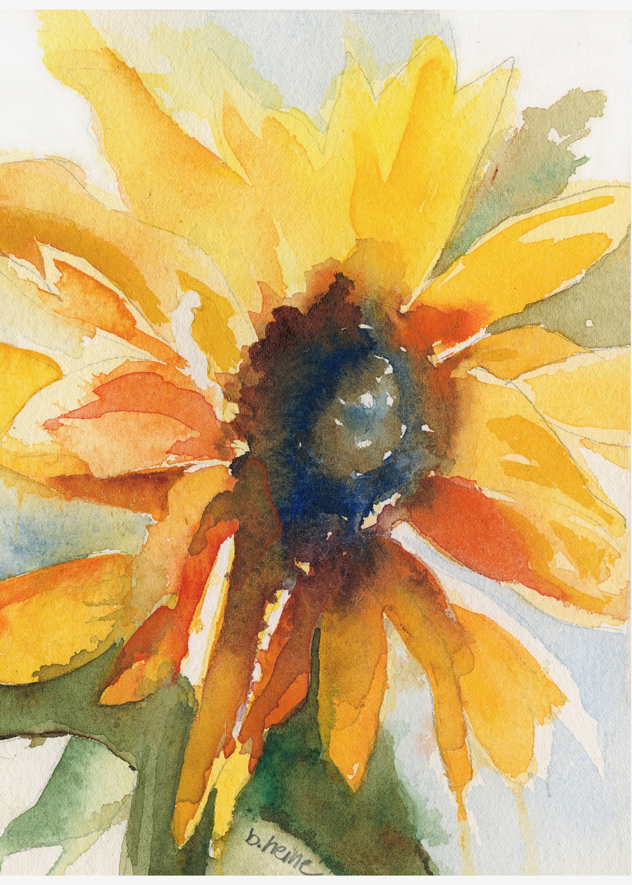 Sunflower