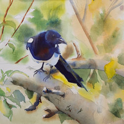 Magpie