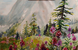 Fireweed