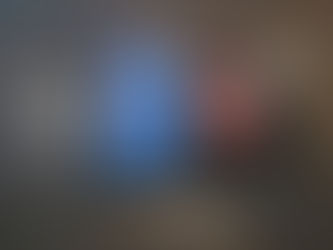 iPhone  (3GS vs. 16e)