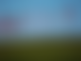 US Flags at halfstaff 