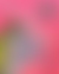 GulayAngat 2024 Food Park